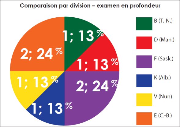 Diagramme circulaire qui représente la comparaison par division des cas sélectionnés pour un examen complet.