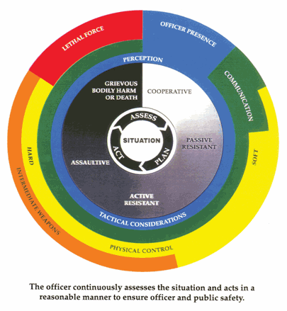 Figure 1: National Use of Force Model